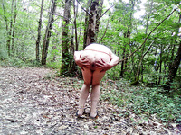 I am a whore in the woods