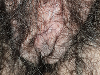 Hairy fat pussy close up view