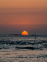 funzi2-20081229035047